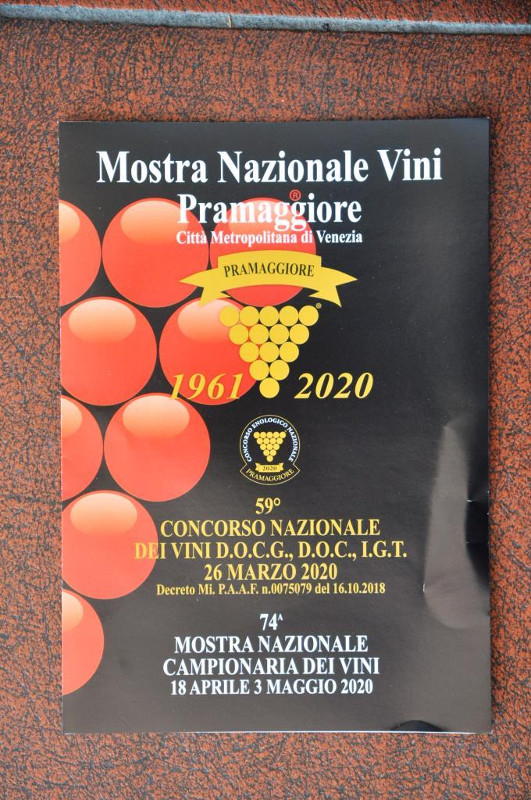 concorso enologico nazionale 2020